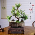 Artisan Bonsai Tree Décor Small-Leaf Red Nan with Handcrafted Stone Tray Pot, Moss Garden & Carved Rosewood Display Stand