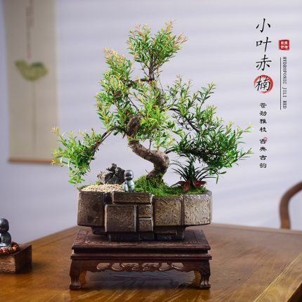 Artisan Bonsai Tree Décor Small-Leaf Red Nan with Handcrafted Stone Tray Pot, Moss Garden & Carved Rosewood Display Stand