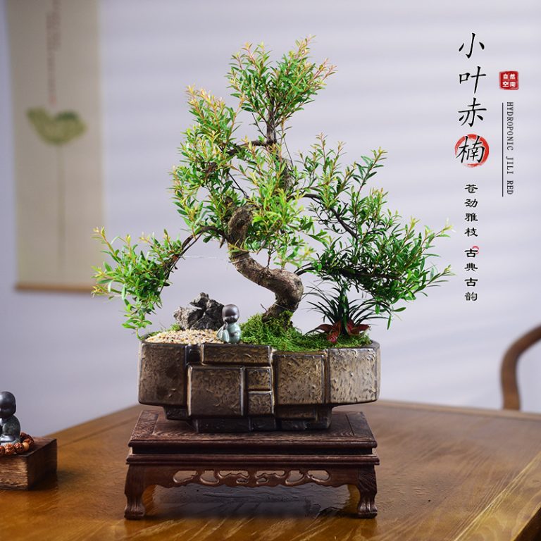 Artisan Bonsai Tree Décor Small-Leaf Red Nan with Handcrafted Stone Tray Pot, Moss Garden & Carved Rosewood Display Stand