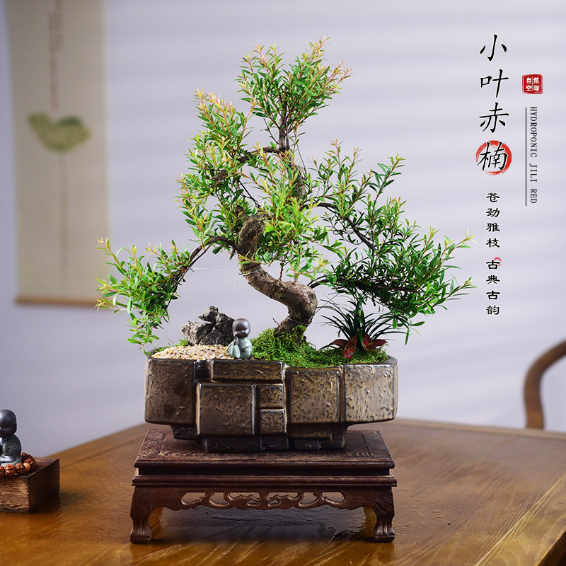 Artisan Bonsai Tree Décor Small-Leaf Red Nan with Handcrafted Stone Tray Pot, Moss Garden & Carved Rosewood Display Stand